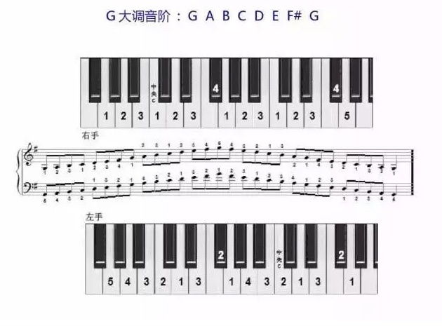 G大调钢琴键位图 键盘图片